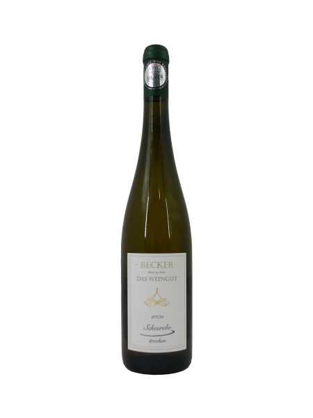 2023er Scheurebe - trocken